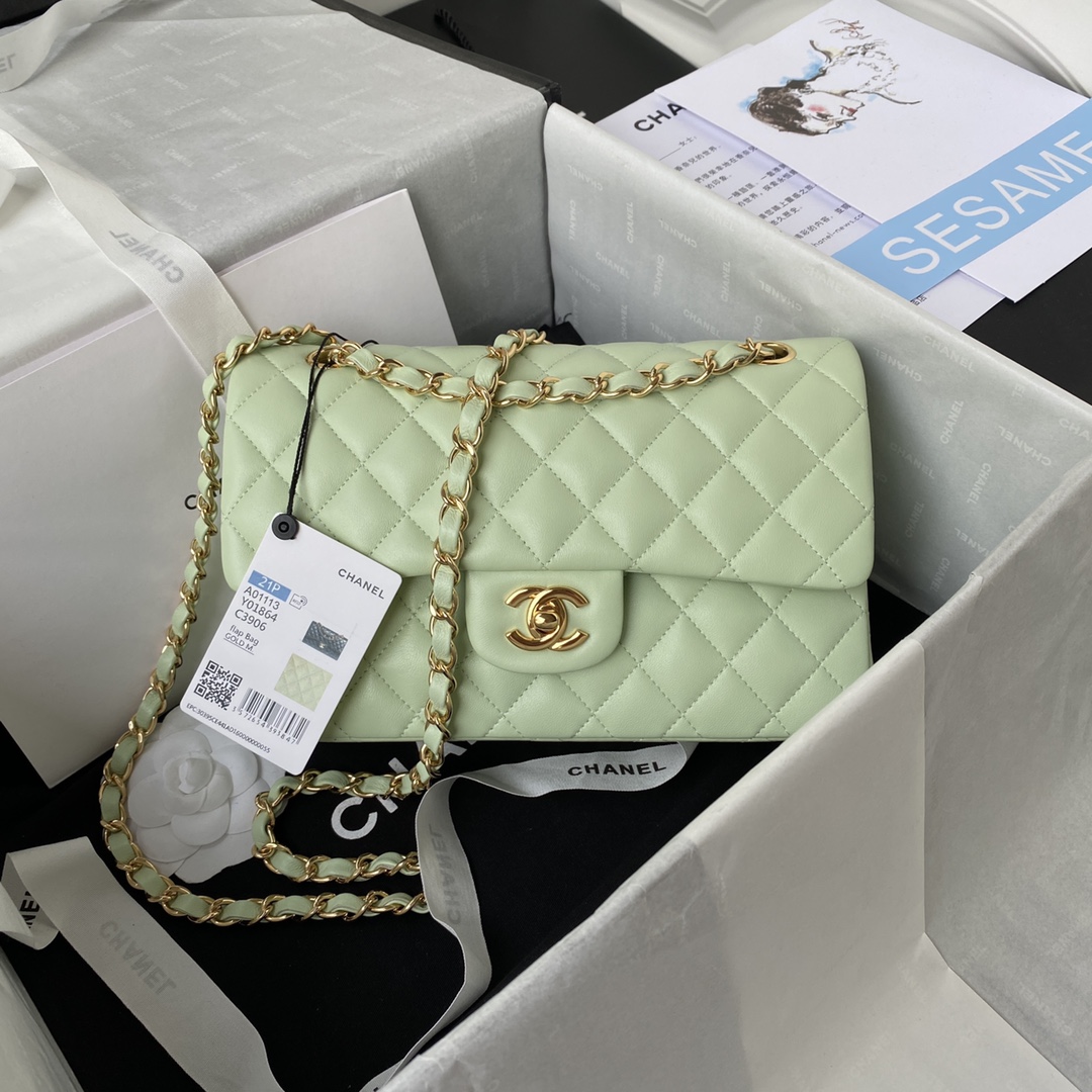 Bagsaaa Ch**el Flap Bag Light Green Lambskin & Gold Hardware - 23cm