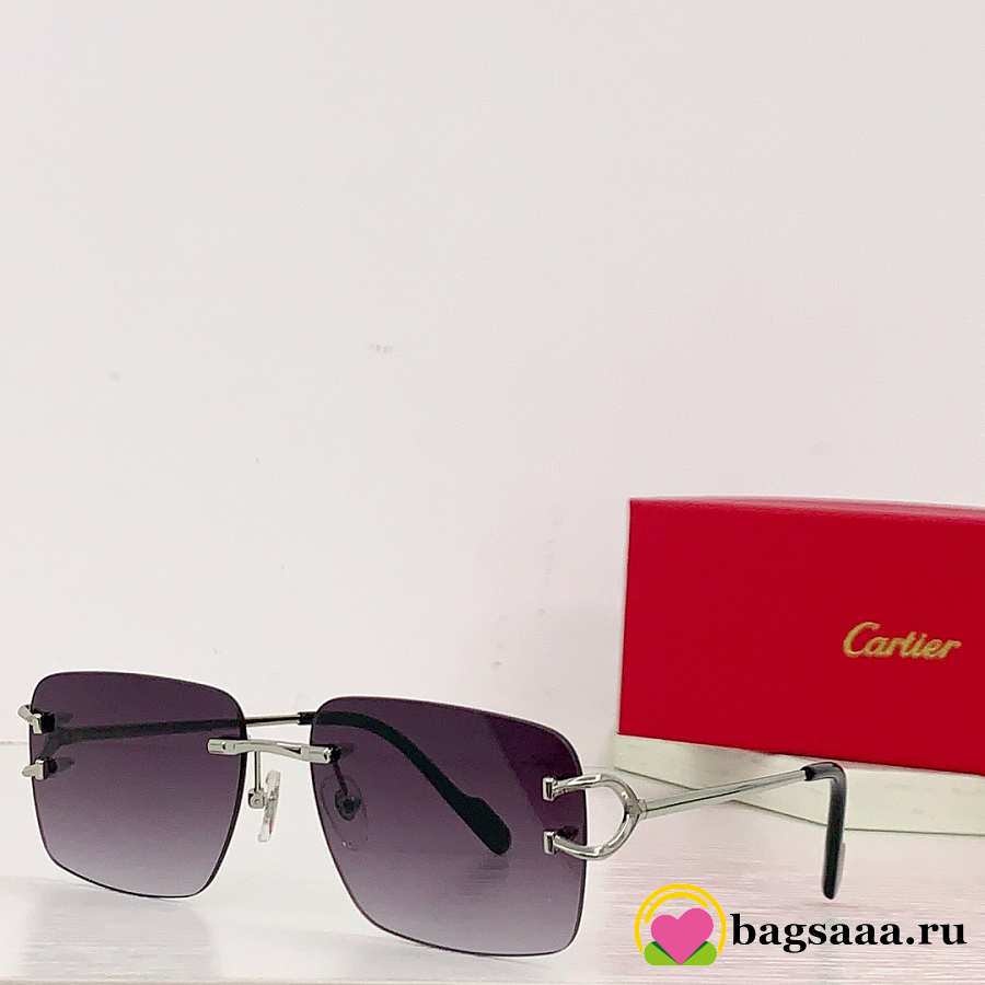 Bagsaaa Ca*t1er C Decor Sunglasses Silver