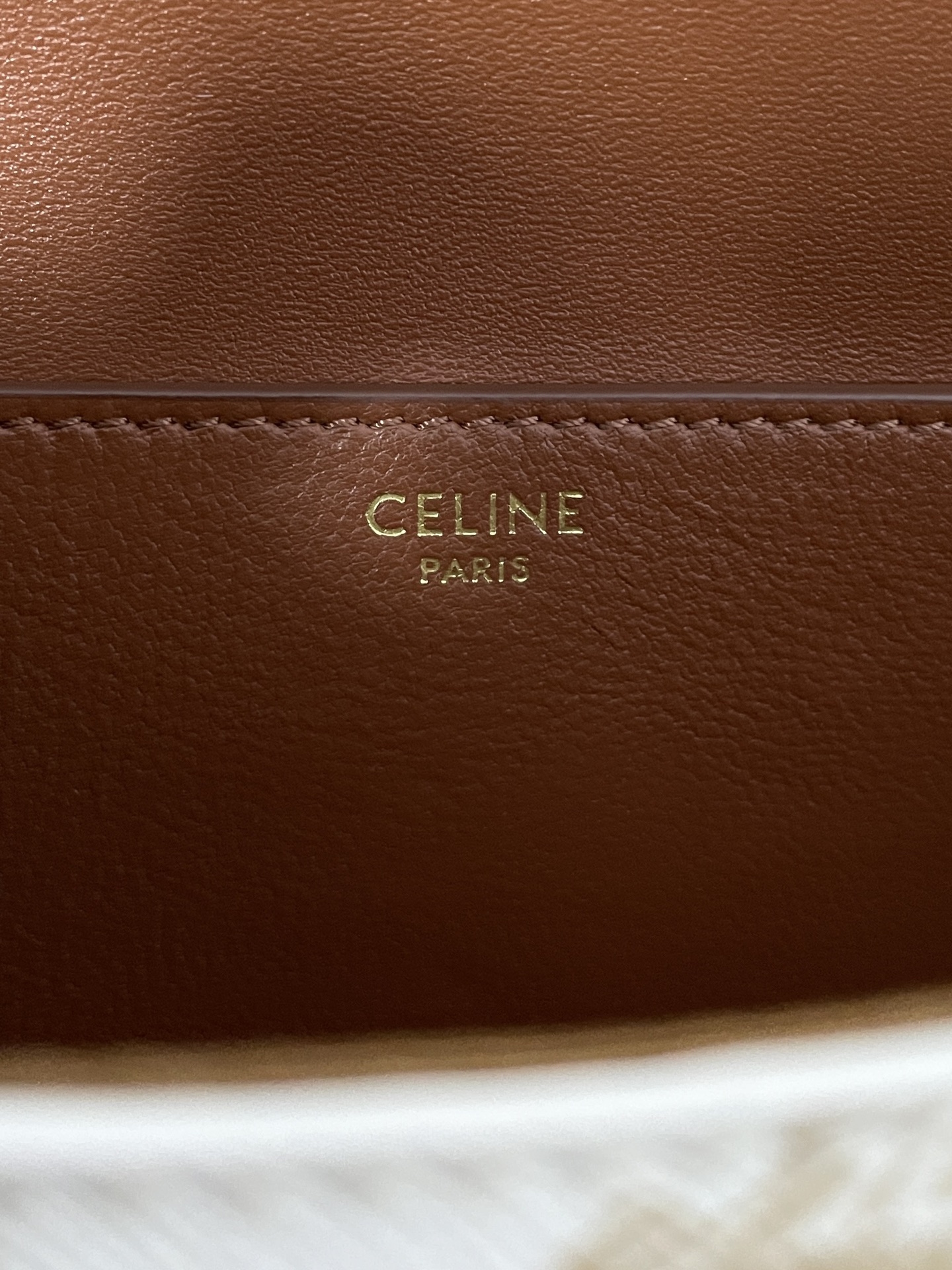 Bagsaaa Ce1i*e Clutch On Strap Tabou In Triomphe Canvas and Calfskin - 18.5 x 9.5 x 5 CM