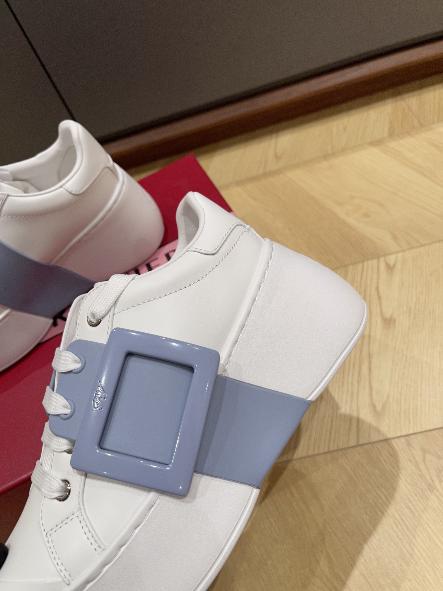 Bagsaaa Roger Vivier Viv