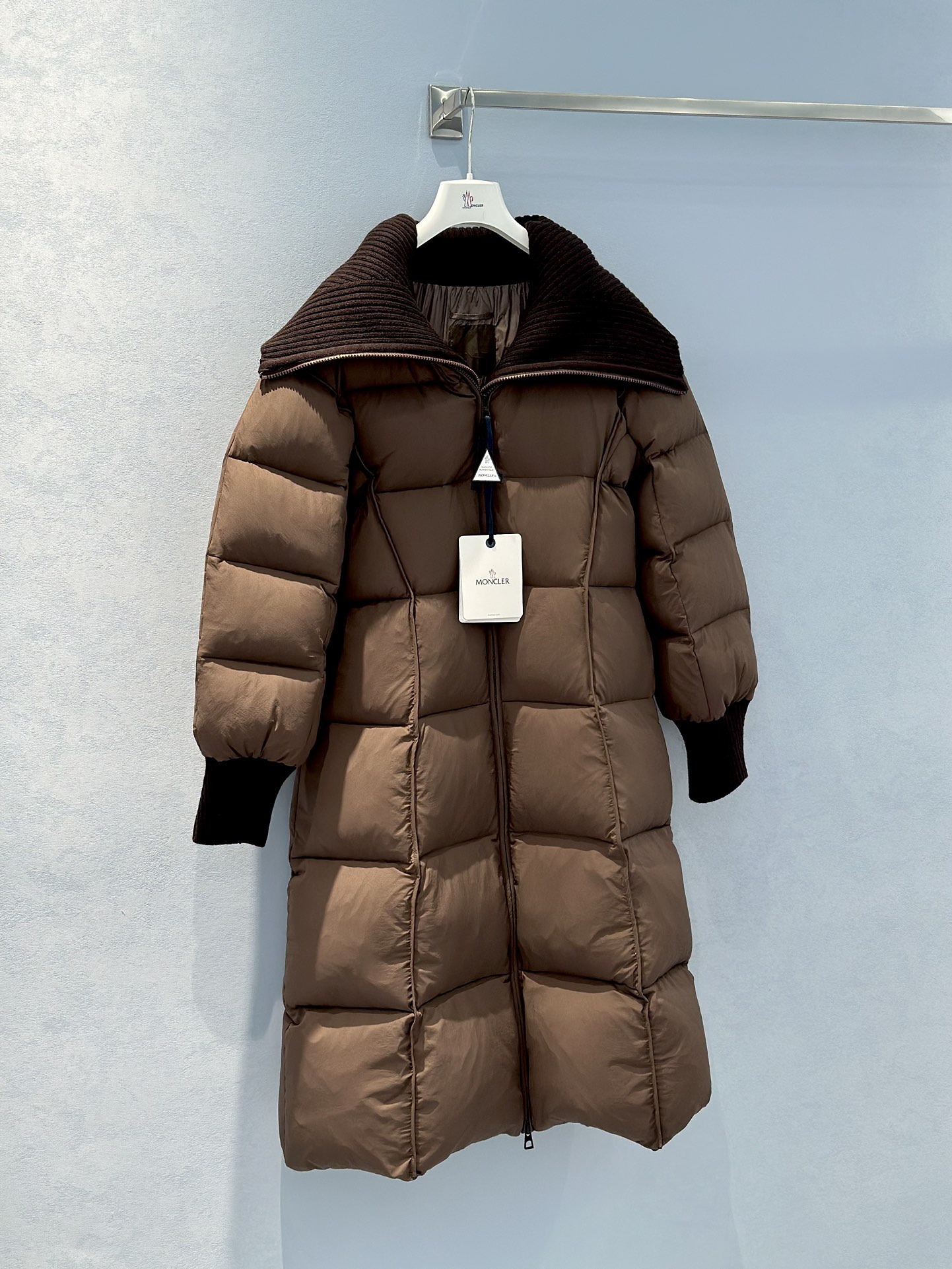 Bagsaaa Moncler Brerelle Long Down Jacket Brown