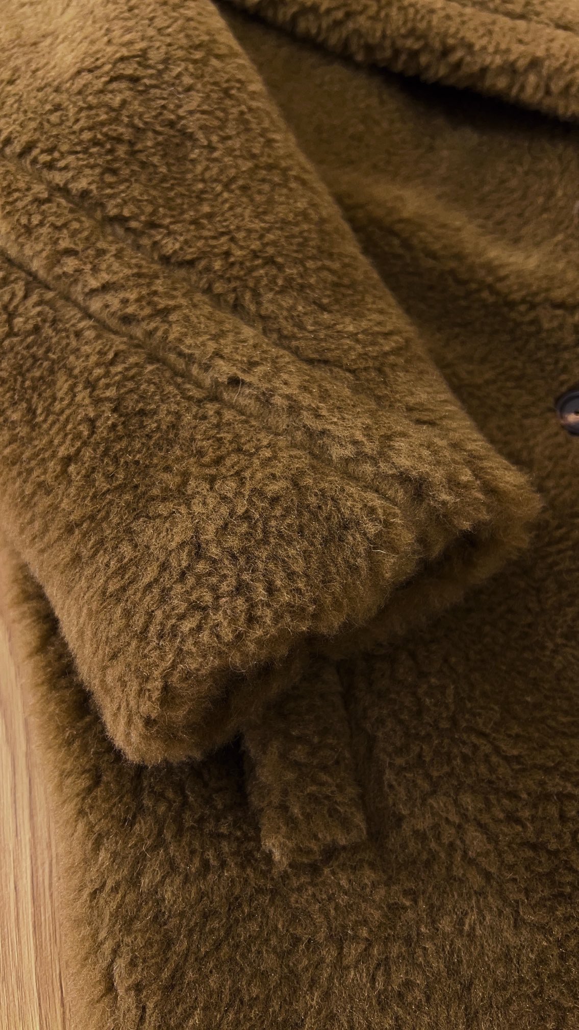 Bagsaaa Max Mara Teddy Bear Icon Coat