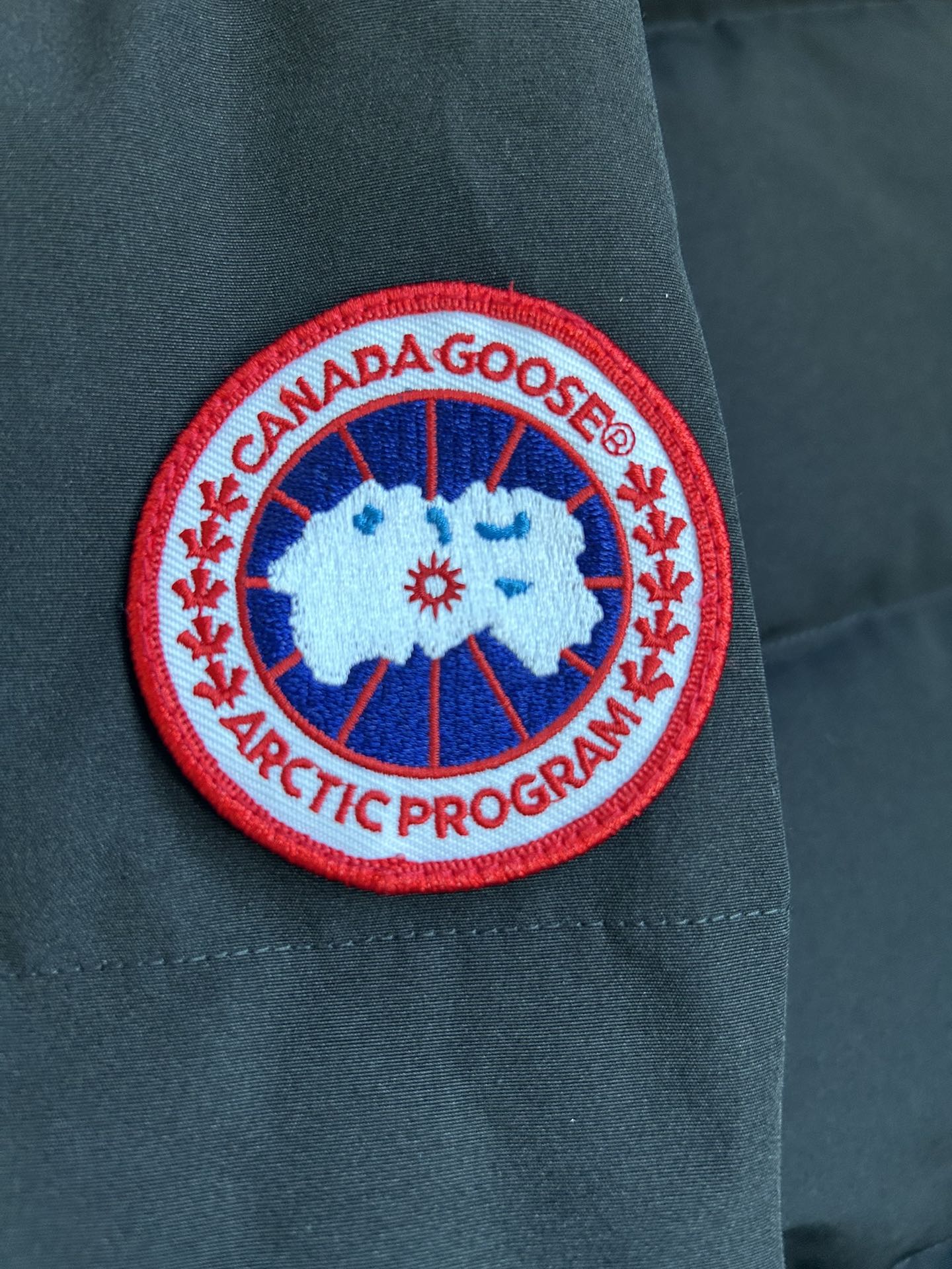 Bagsaaa Can*a G00se Mystique Parka Heritage Black