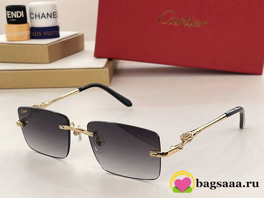 Bagsaaa Ca*t1er Sunglasses (6 colors)