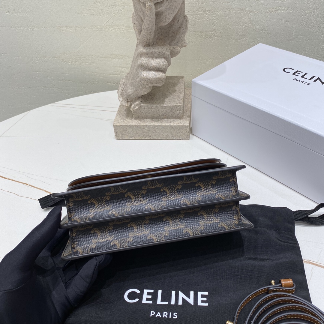 Bagsaaa Ce1i*e Wallet on strap in Triomphe Canvas and Smooth Lambskin - 20 x 12 x 5 CM