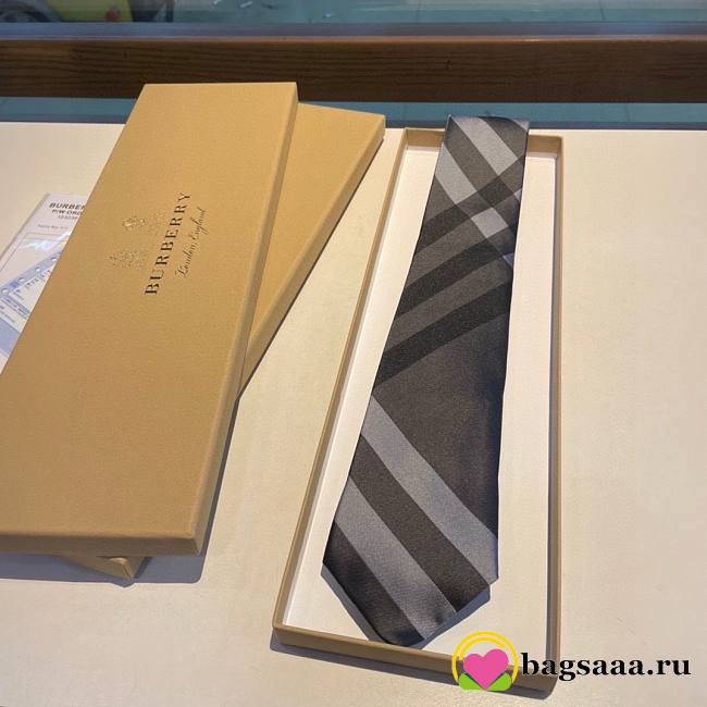 Bagsaaa Bv*b*rry Men Ties 