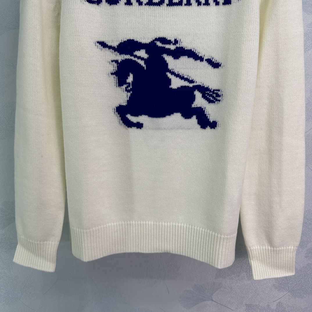 Bagsaaa Bv*b*rry EKD Wool Cashmere Sweater Off White