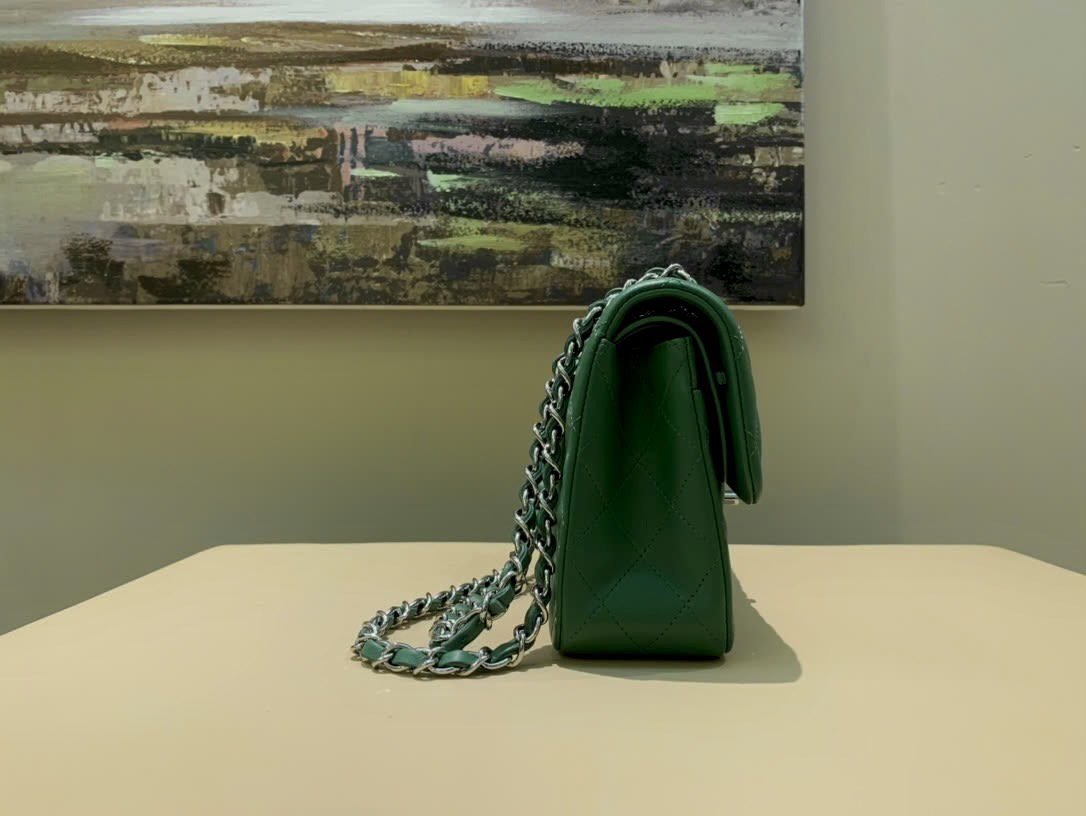 Bagsaaa Ch**el Flap Bag Green & Silver Hardware - 23m