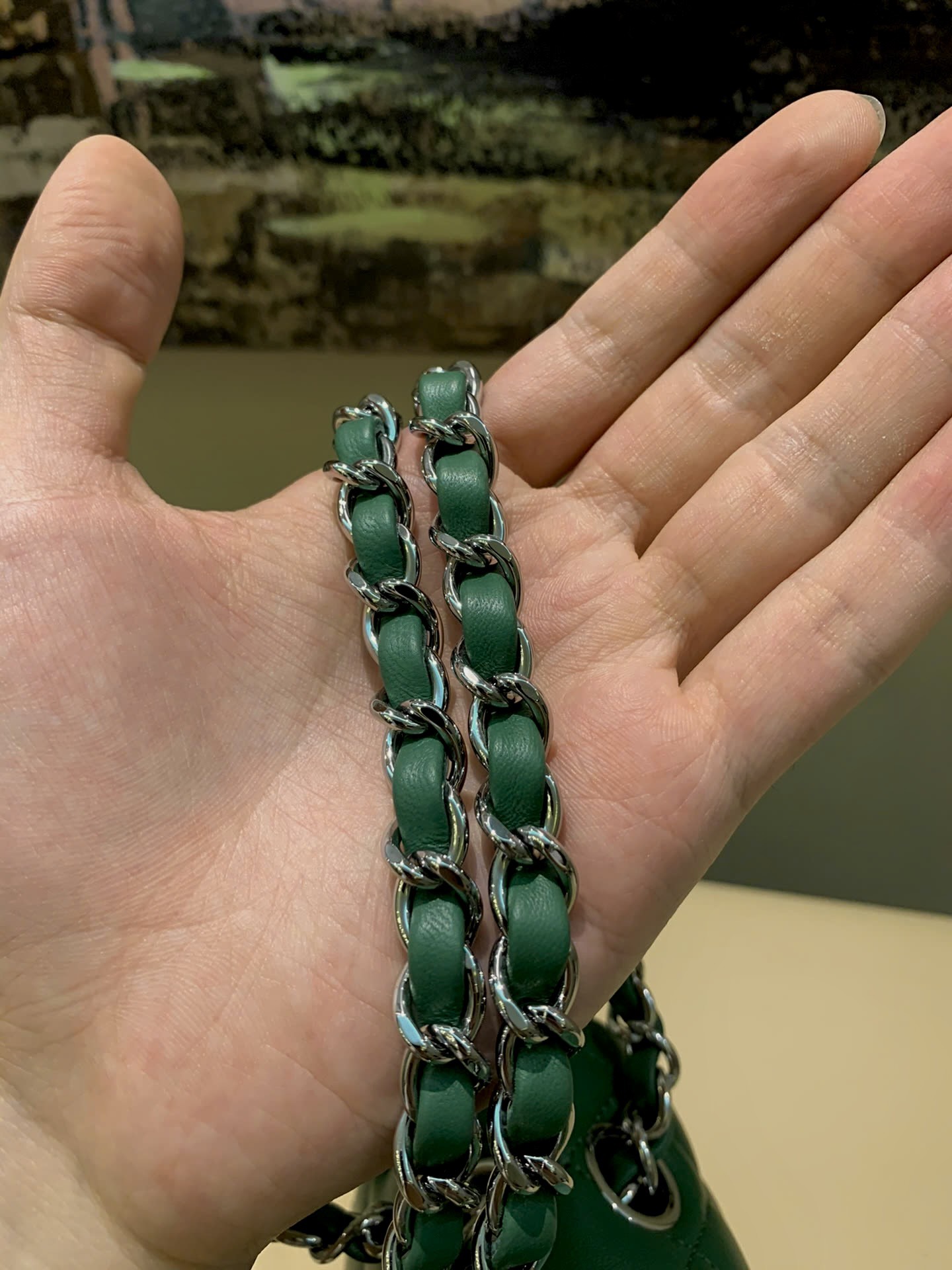Bagsaaa Ch**el Flap Bag Green & Silver Hardware - 23m