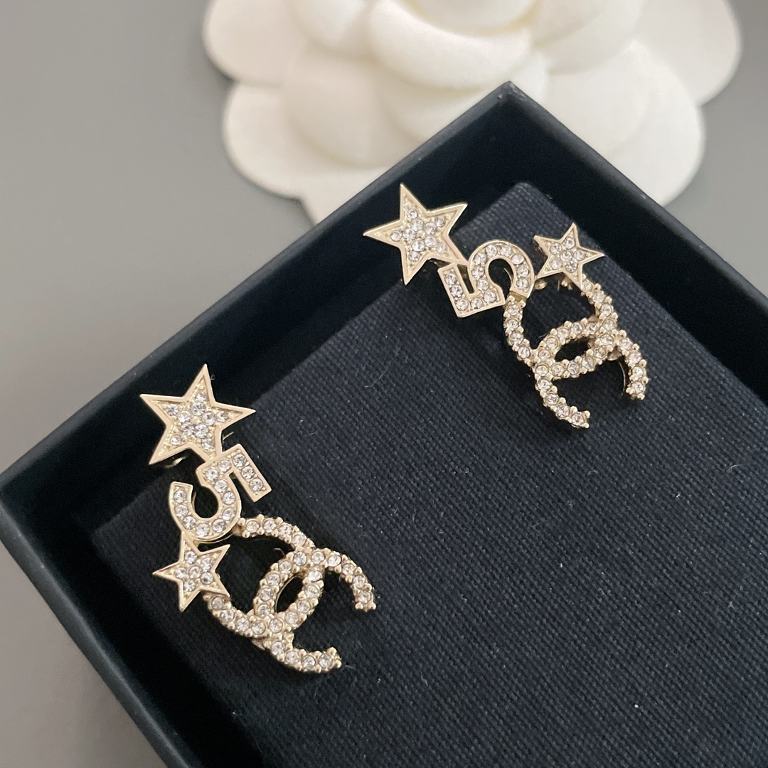 Bagsaaa Ch**el Earrings 11