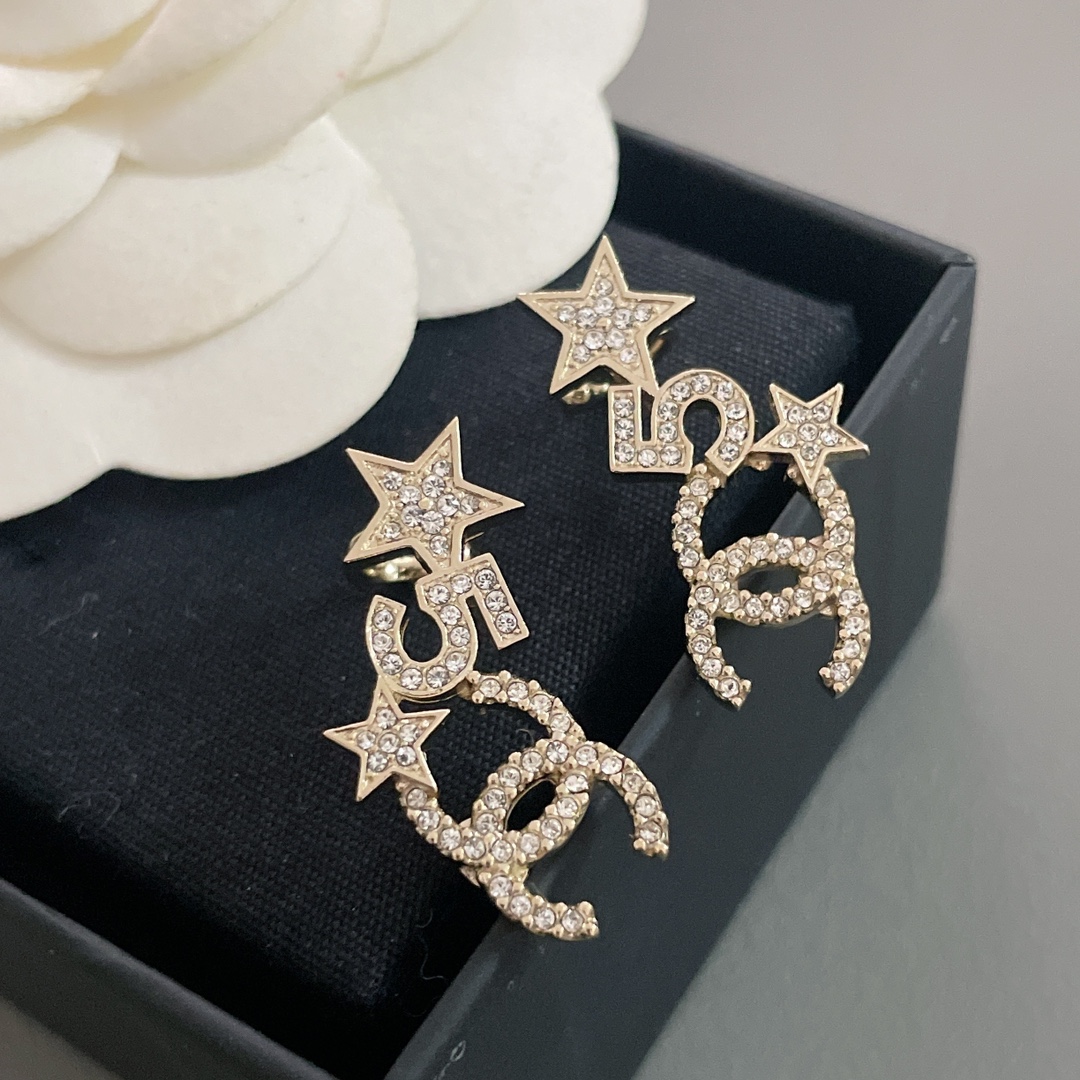 Bagsaaa Ch**el Earrings 11