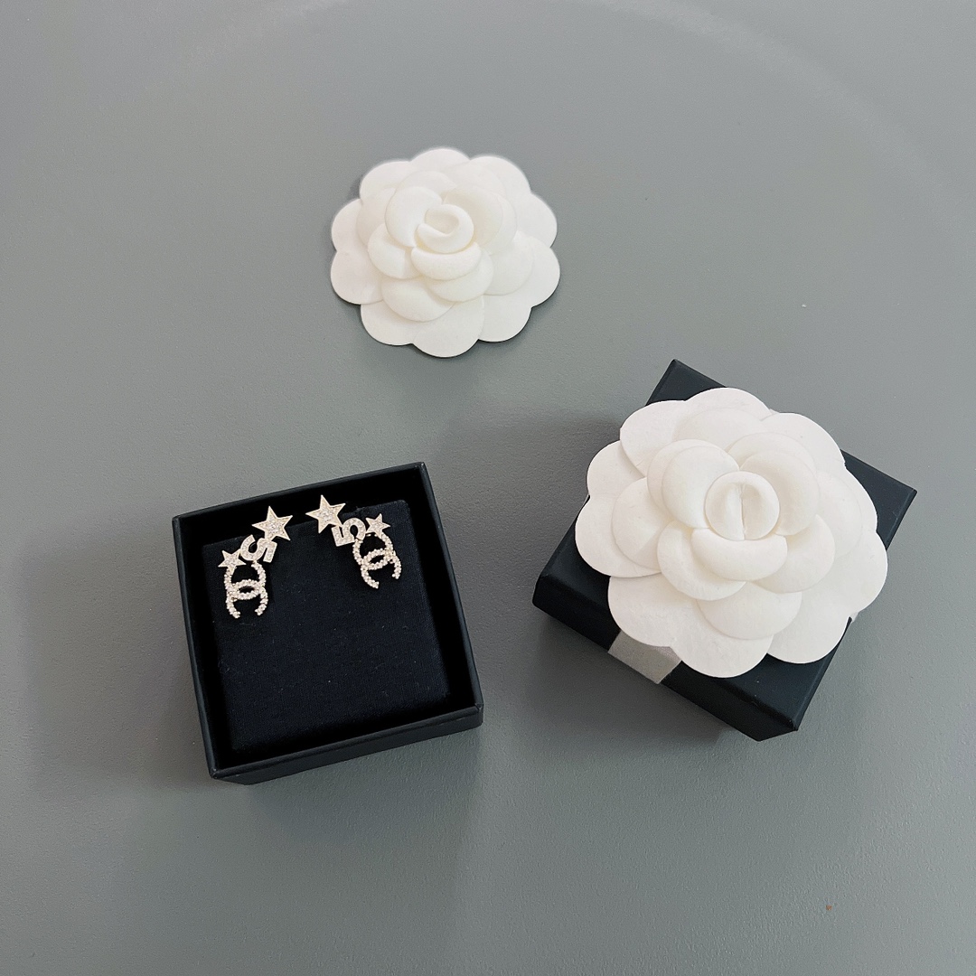 Bagsaaa Ch**el Earrings 11