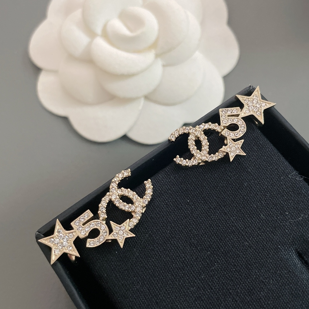 Bagsaaa Ch**el Earrings 11
