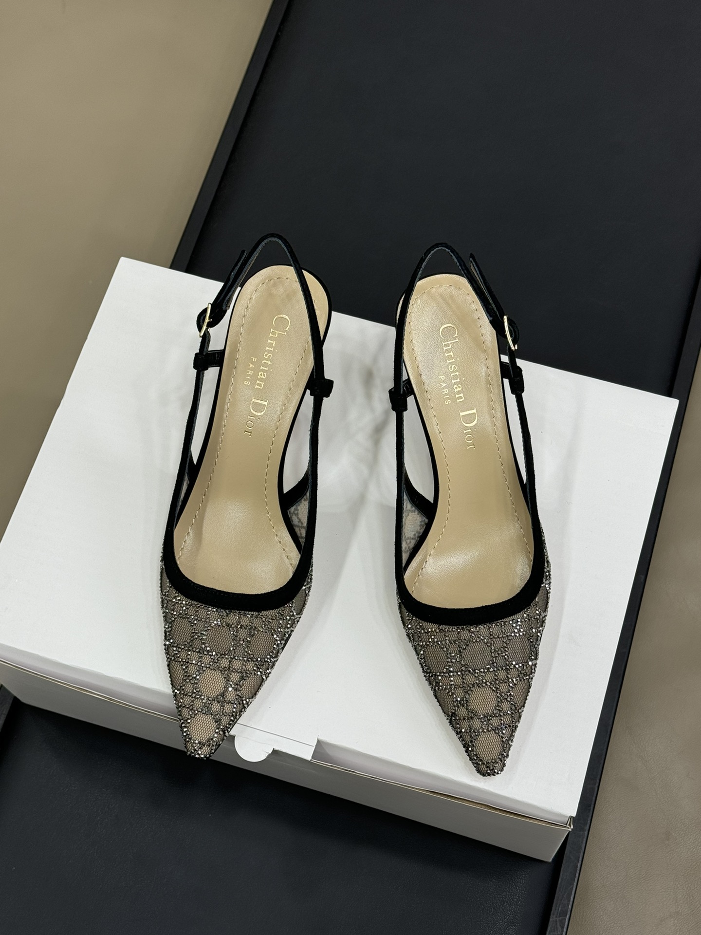 Bagsaaa D10r Capture Slingback Pump Transparent Mesh with Silver-Tone Strass Cannage Motif and Black Suede Goatskin