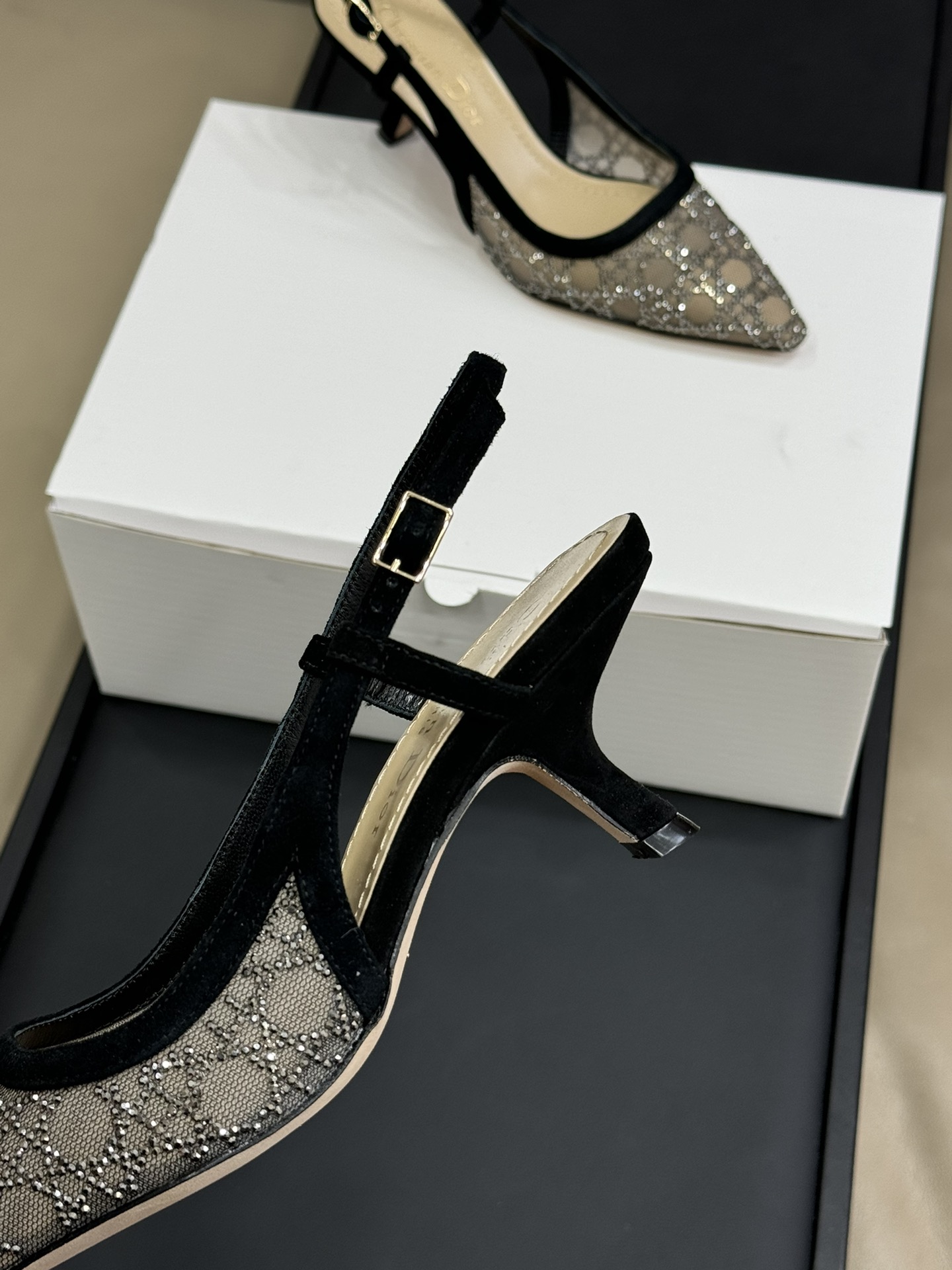 Bagsaaa D10r Capture Slingback Pump Transparent Mesh with Silver-Tone Strass Cannage Motif and Black Suede Goatskin