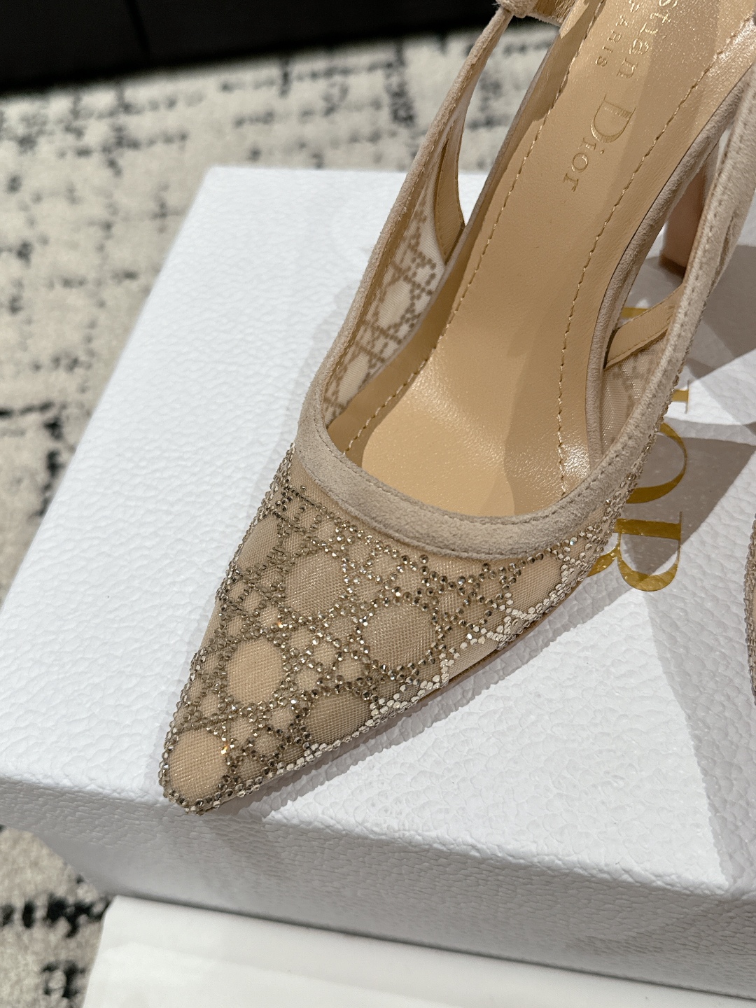 Bagsaaa D10r Capture Slingback Pump Transparent Mesh with Strass Cannage Motif and Nude Suede Goatskin