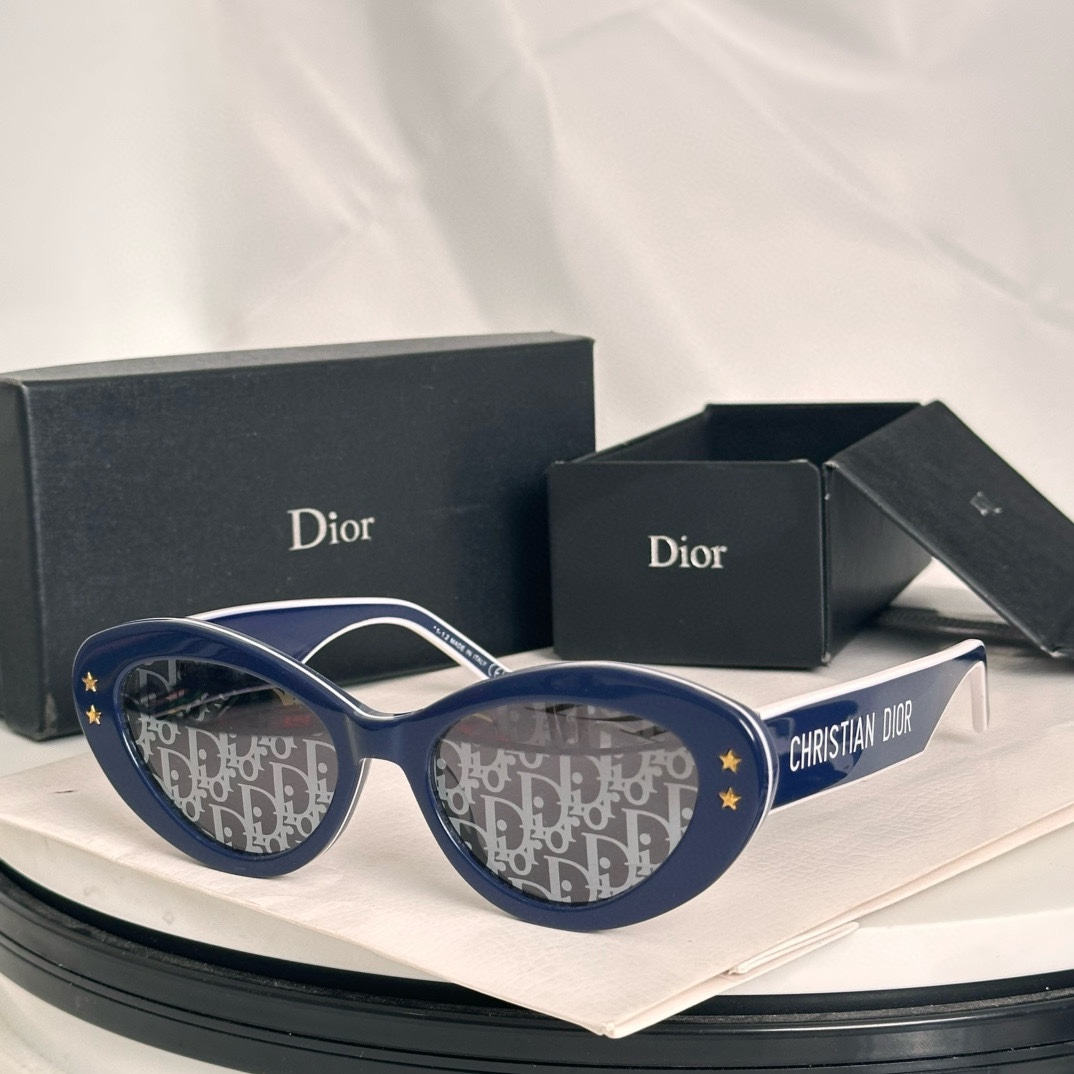 Bagsaaa D10r Sunglasses 01