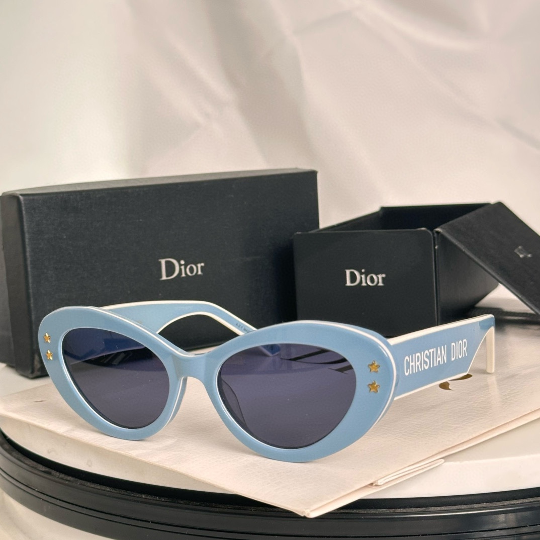 Bagsaaa D10r Sunglasses 05