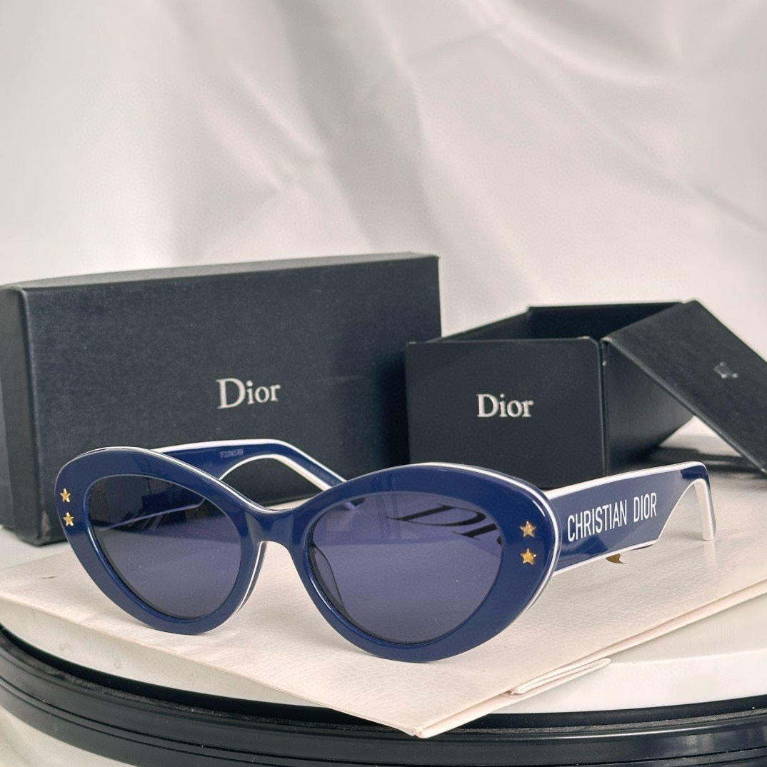 Bagsaaa D10r Sunglasses 07