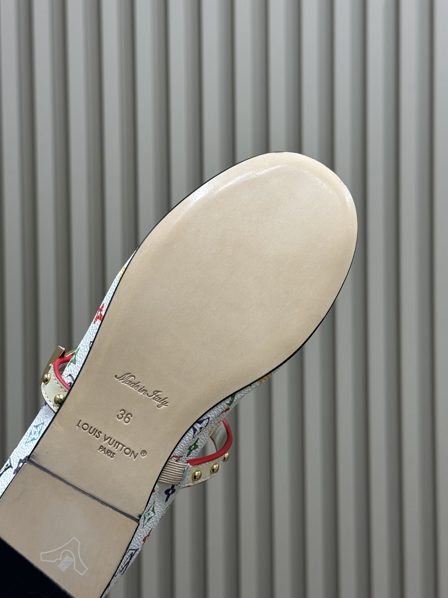 Bagsaaa LV x TM Romy Flat Ballerina Multicolored