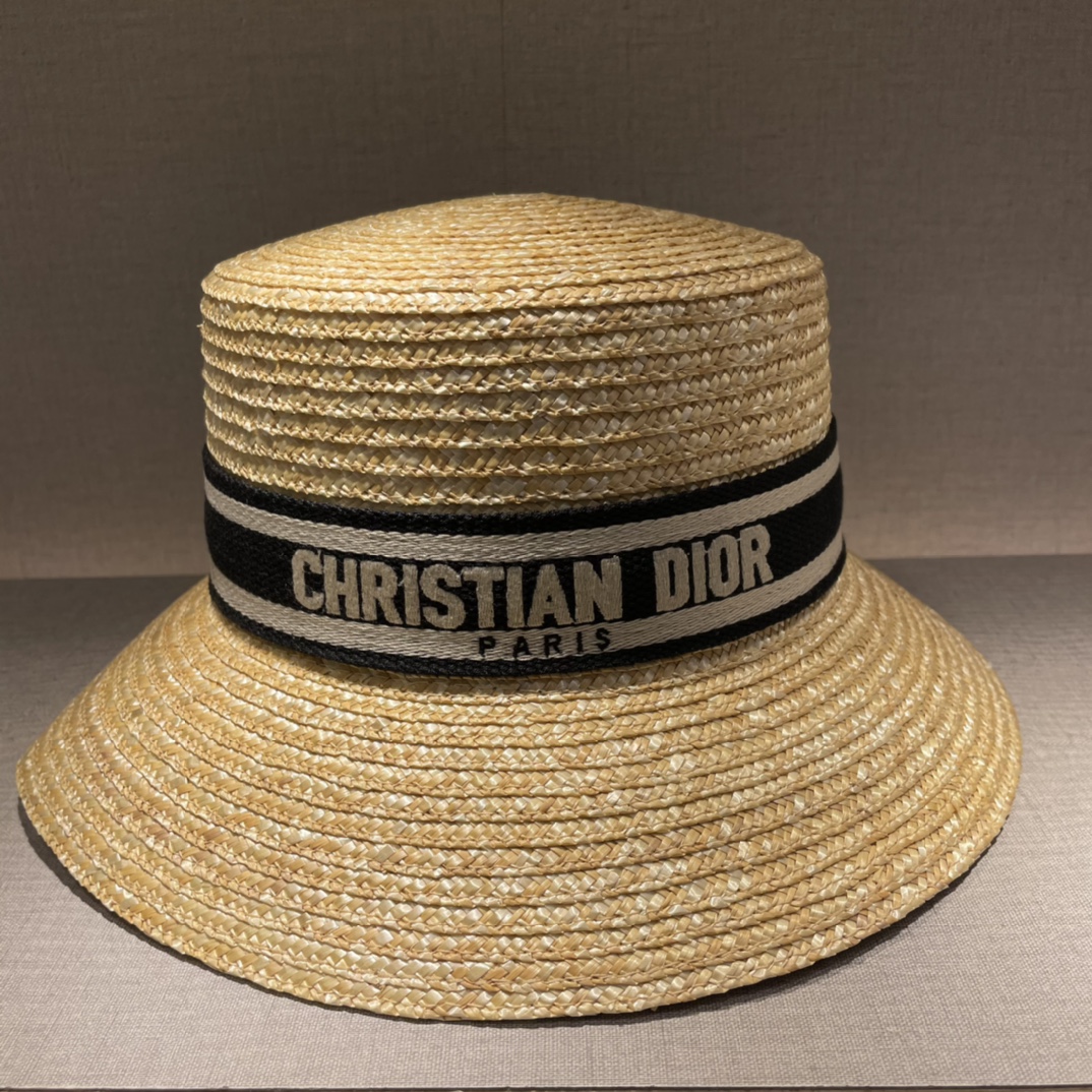 Bagsaaa D10r Hat
