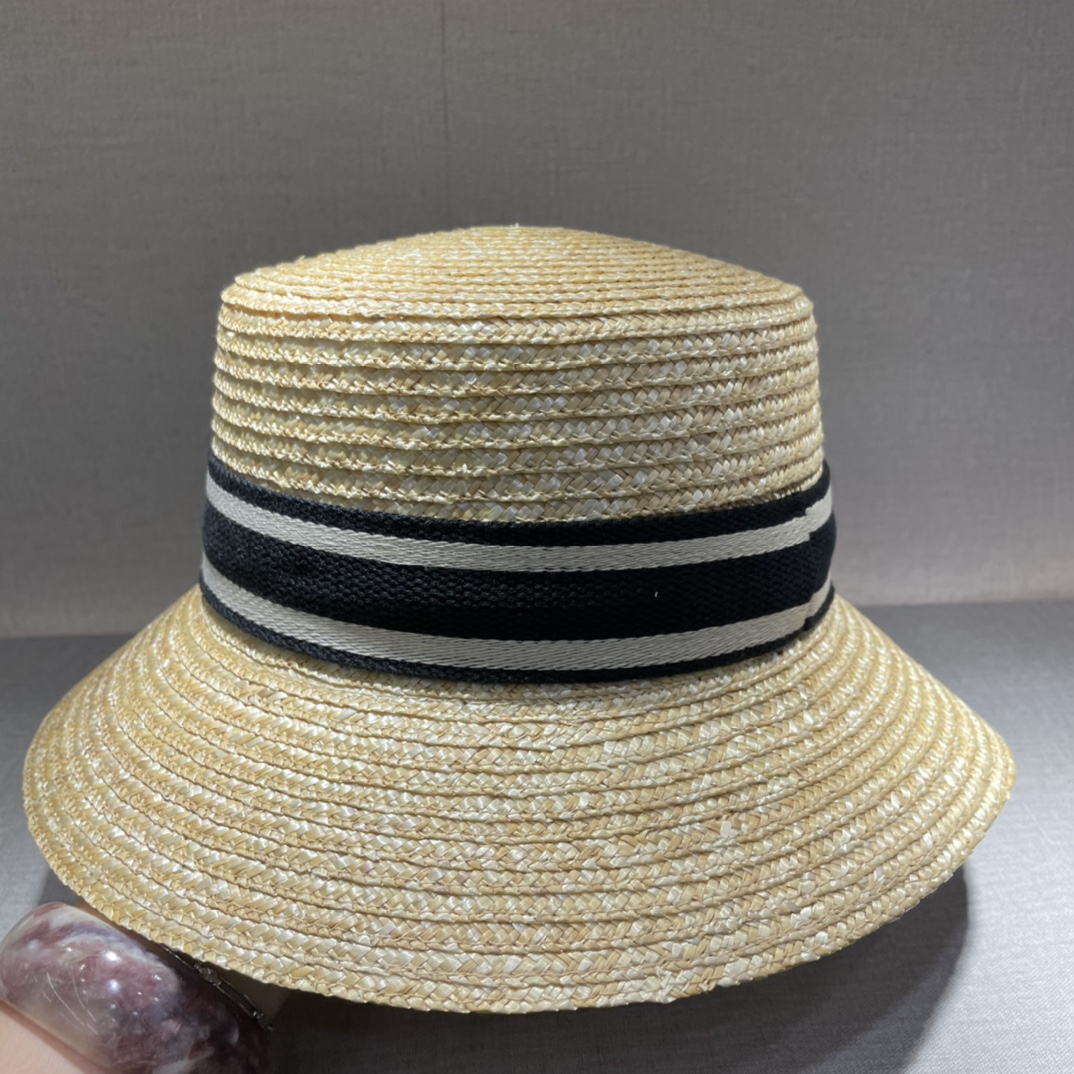 Bagsaaa D10r Hat