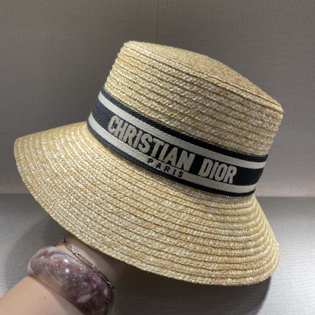 Bagsaaa D10r Hat