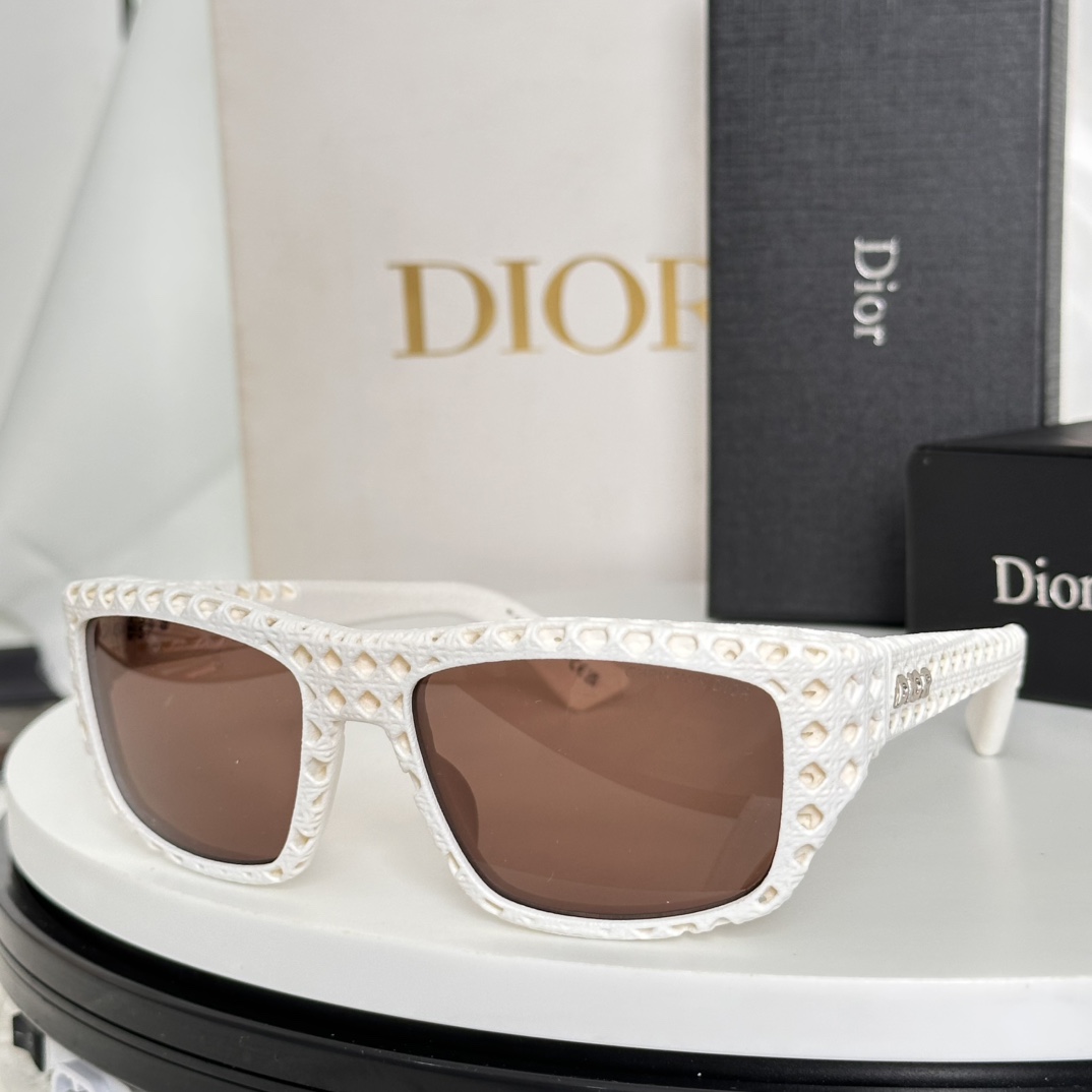 Bagsaaa D10r Sunglasses 10