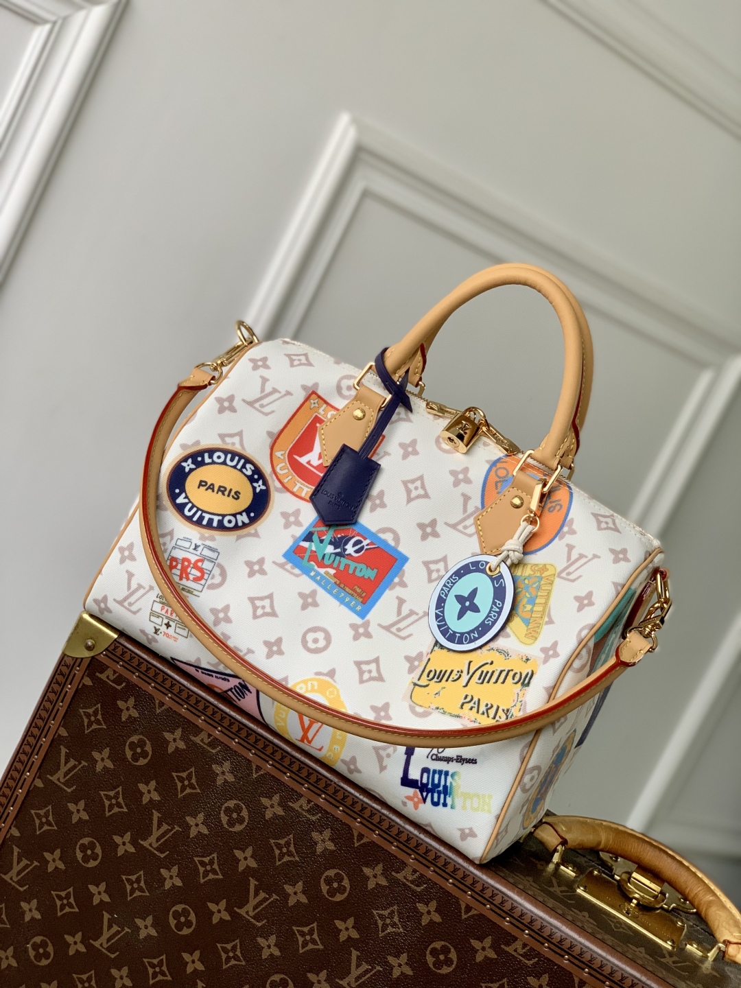 Bagsaaa LV M14587 Speedy Soft 30 Monogram Dune - 30cm