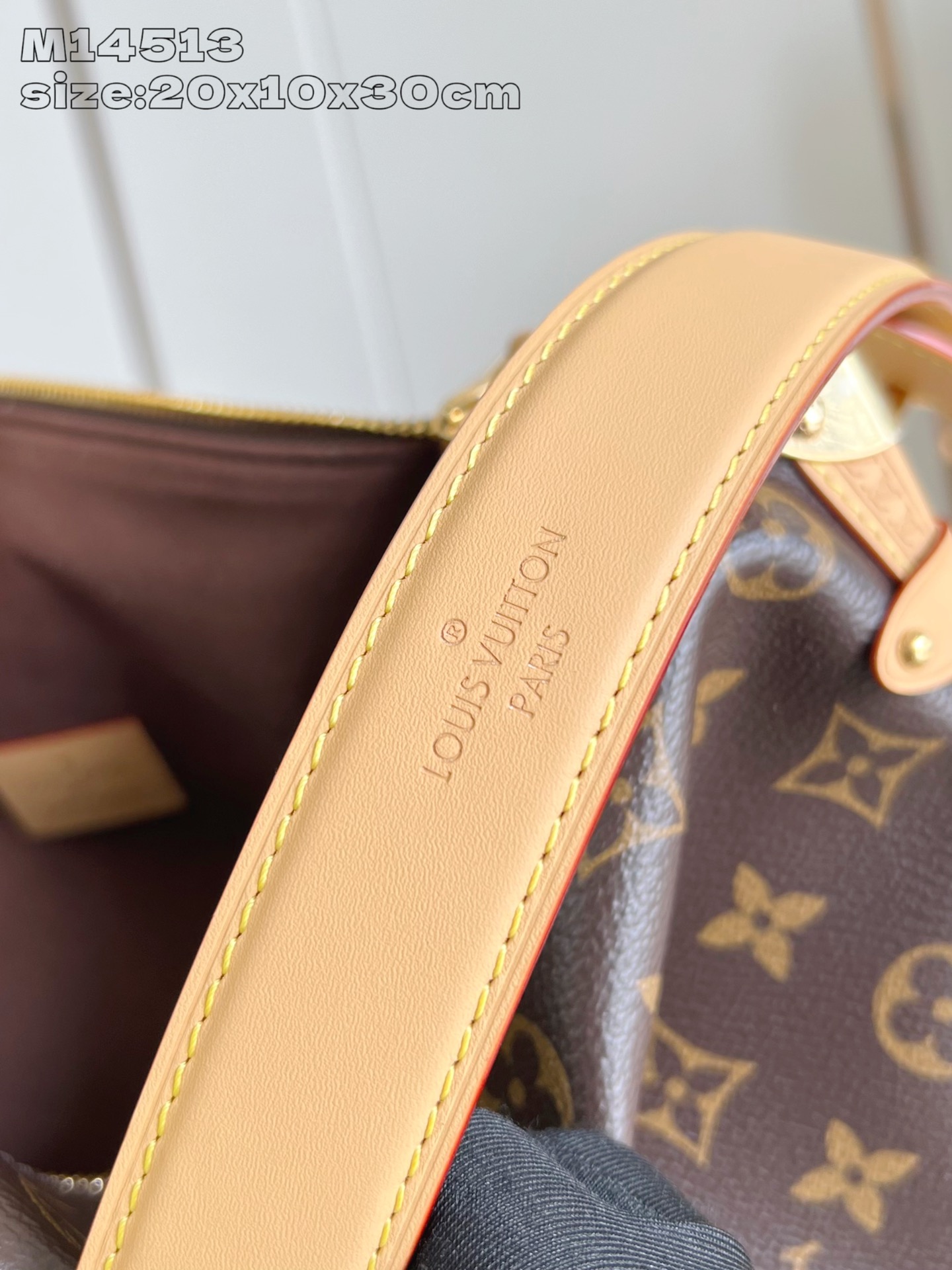 Bagsaaa LV M14513 SS25 Collection Side Trunk GM - 30cm