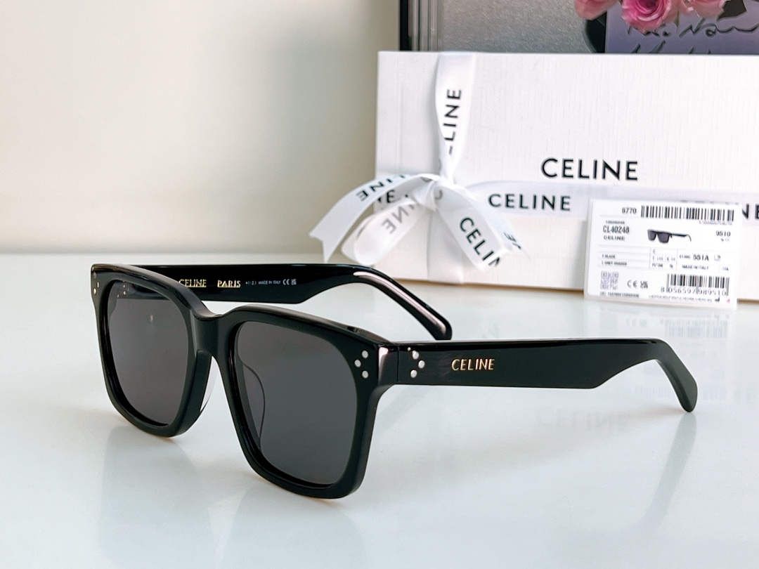 Bagsaaa Ce1i*e Black Frame 45 Sunglasses in Acetate