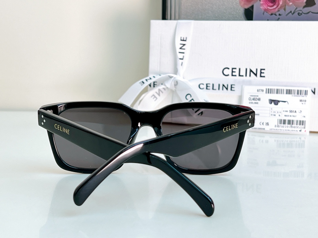 Bagsaaa Ce1i*e Black Frame 45 Sunglasses in Acetate