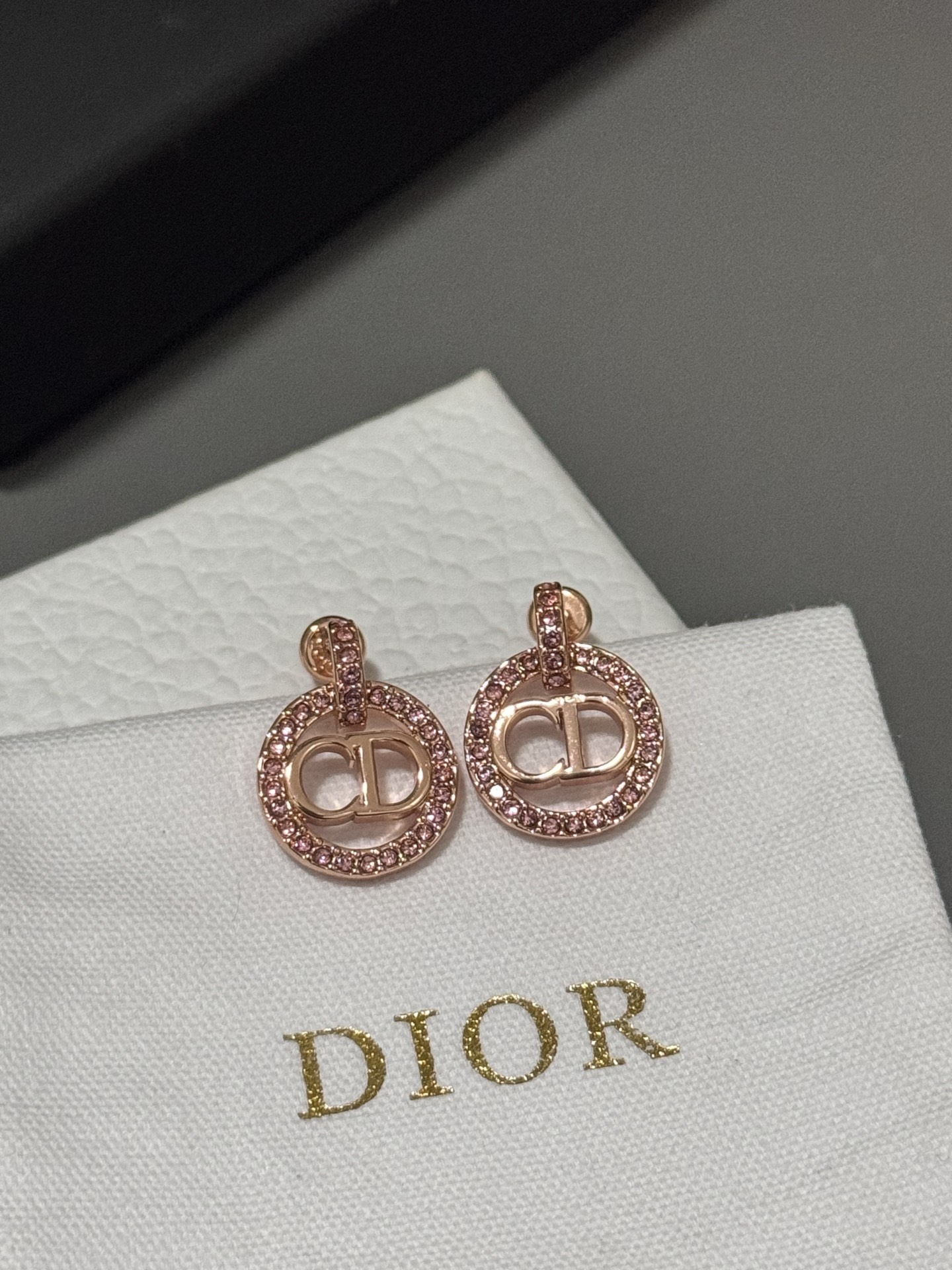 Bagsaaa D10r Earrings 08