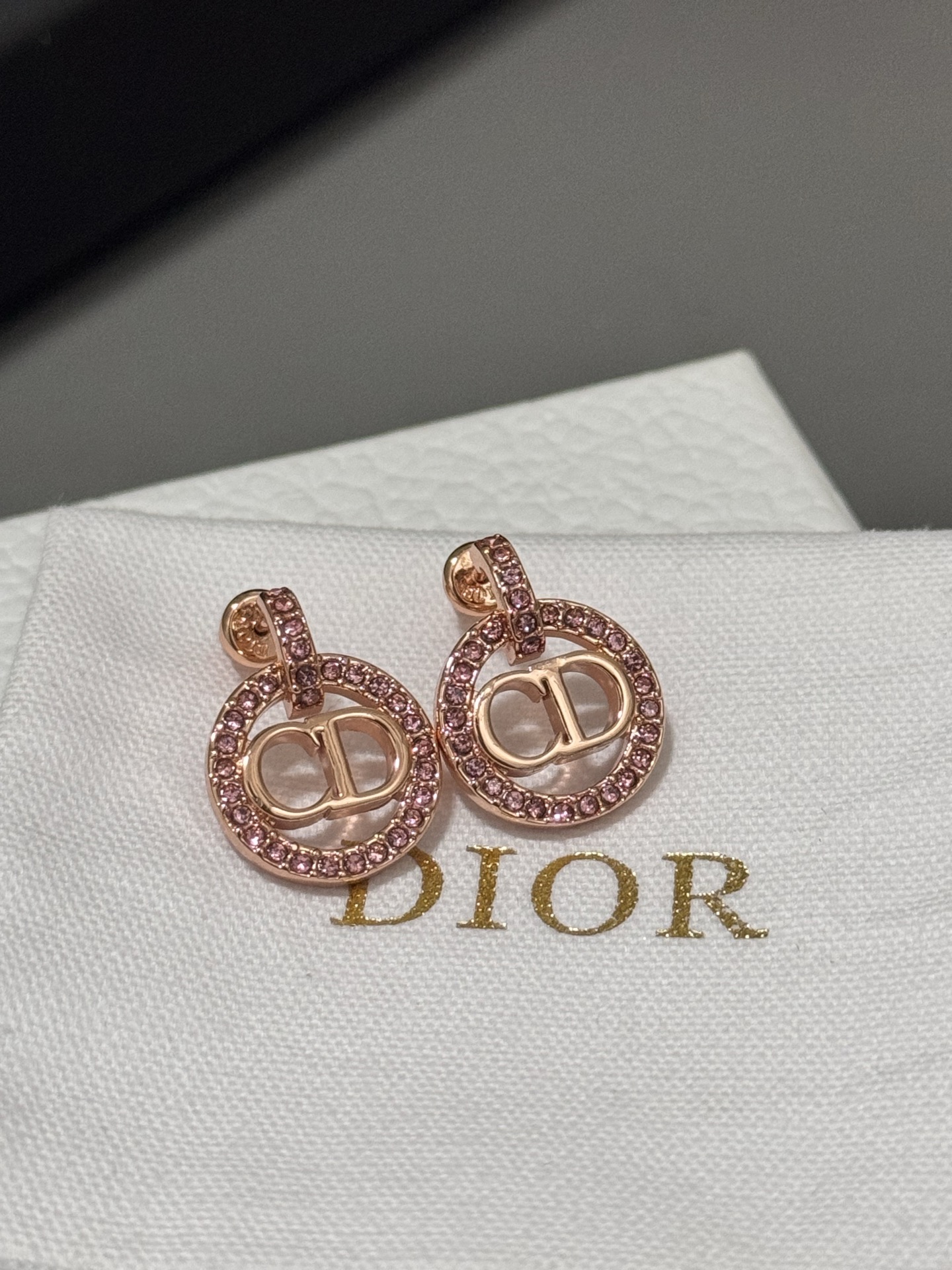 Bagsaaa D10r Earrings 08