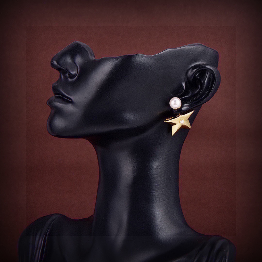 Bagsaaa D10r Earrings 09