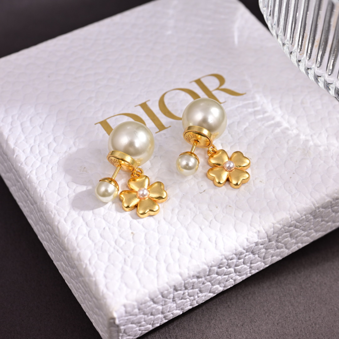 Bagsaaa D10r Earrings 10