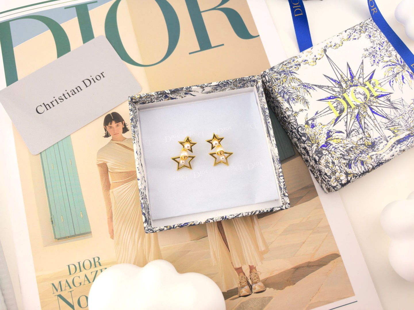 Bagsaaa D10r Earrings 11