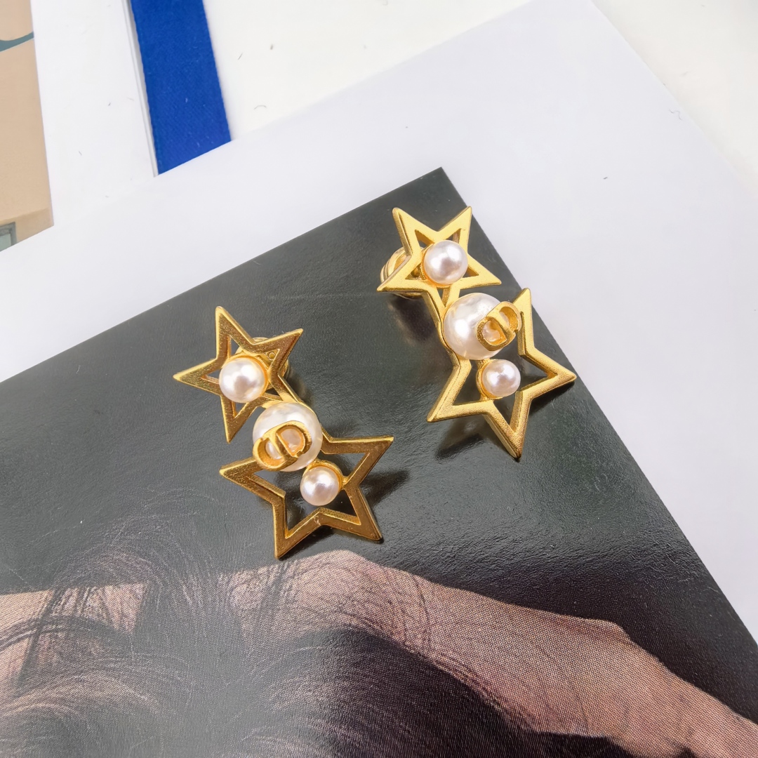 Bagsaaa D10r Earrings 11