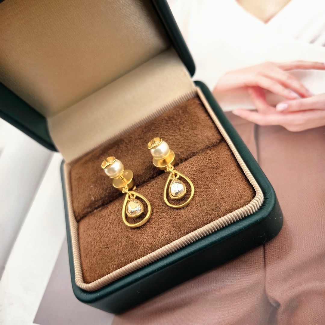 Bagsaaa D10r Earrings 13