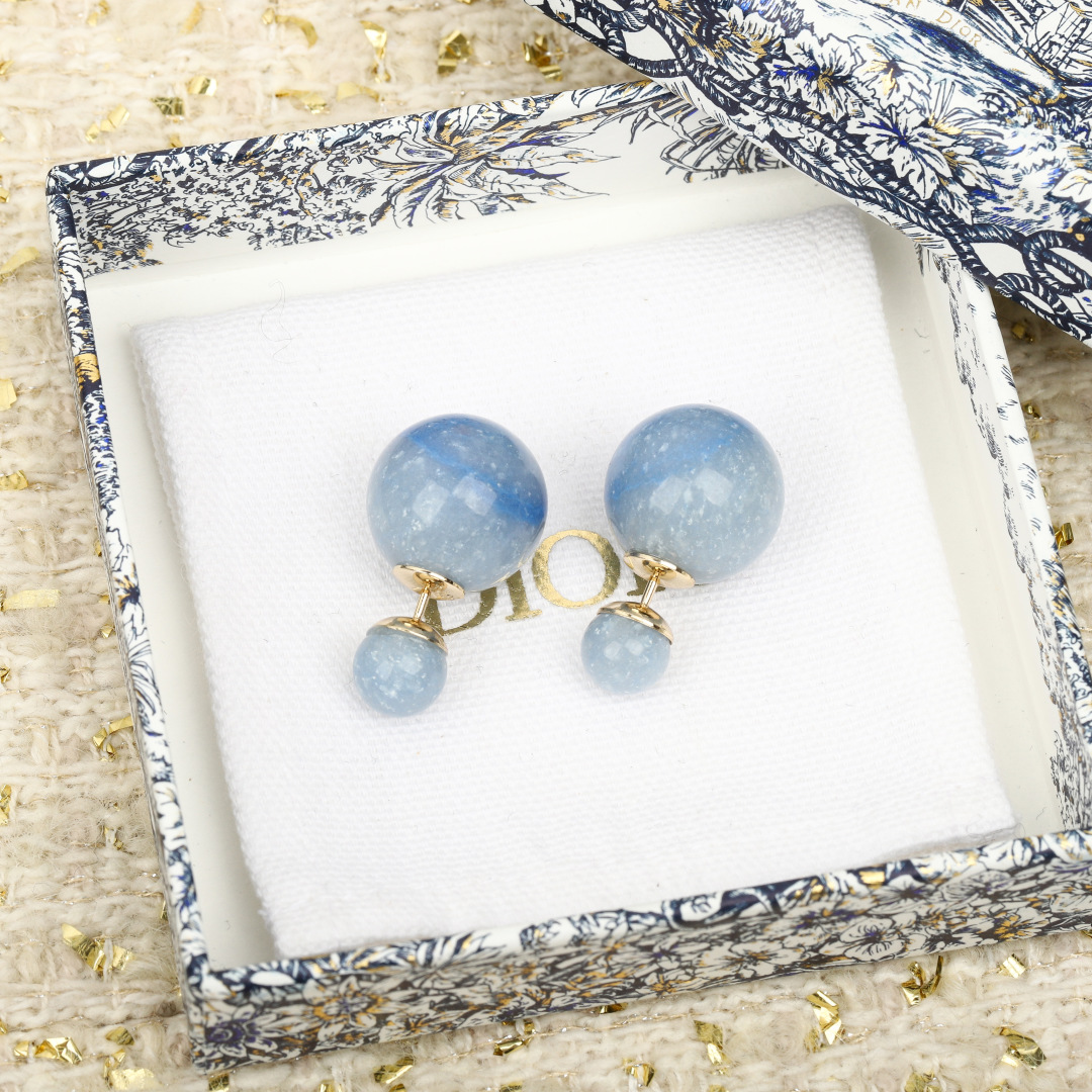 Bagsaaa D10r Earrings 14