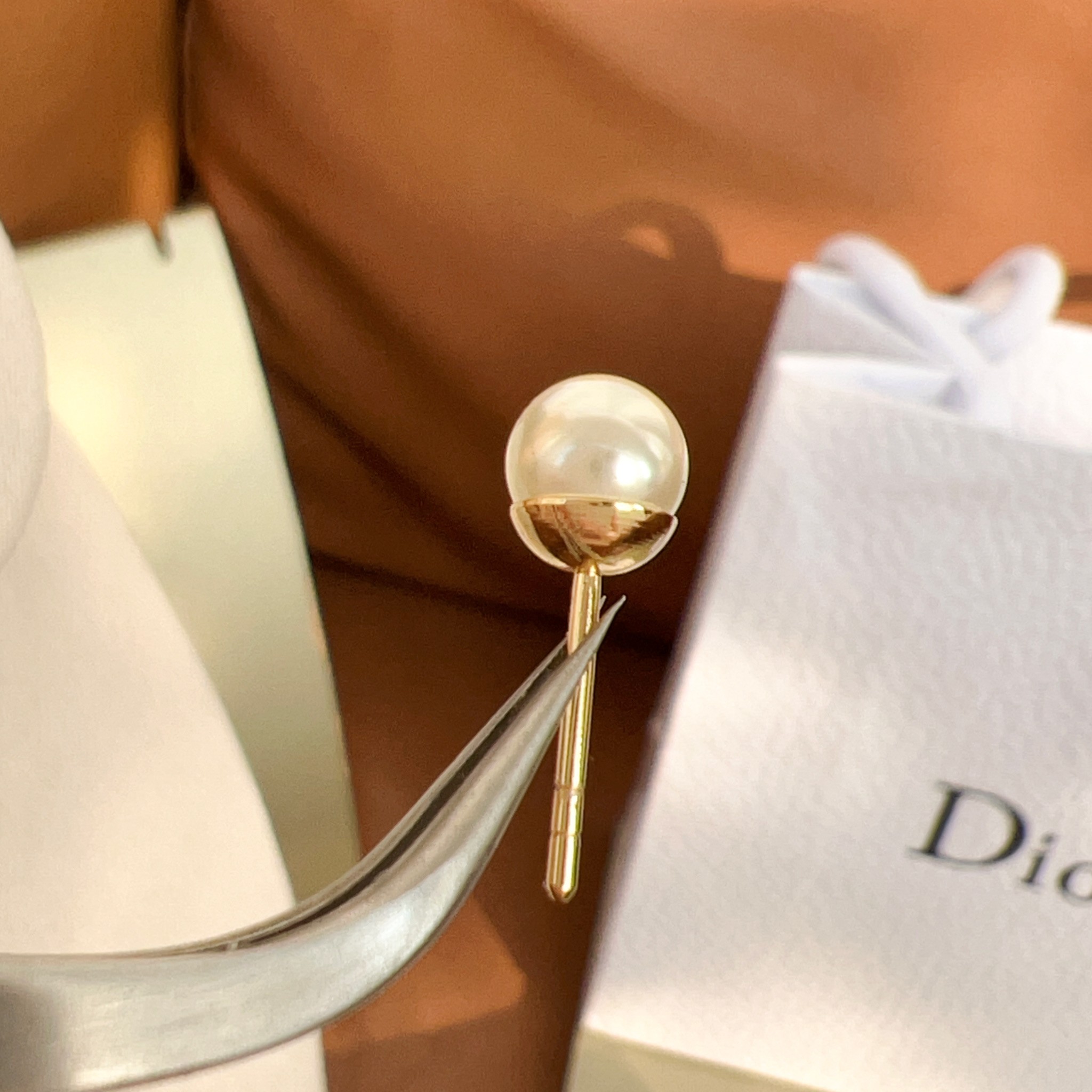 Bagsaaa D10r Earrings