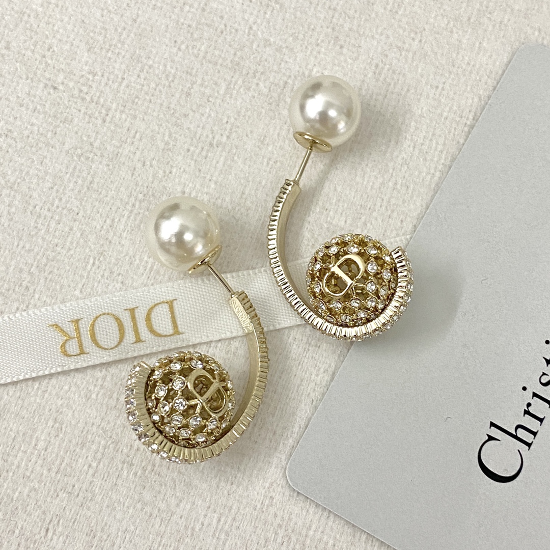 Bagsaaa D10r Earrings 16