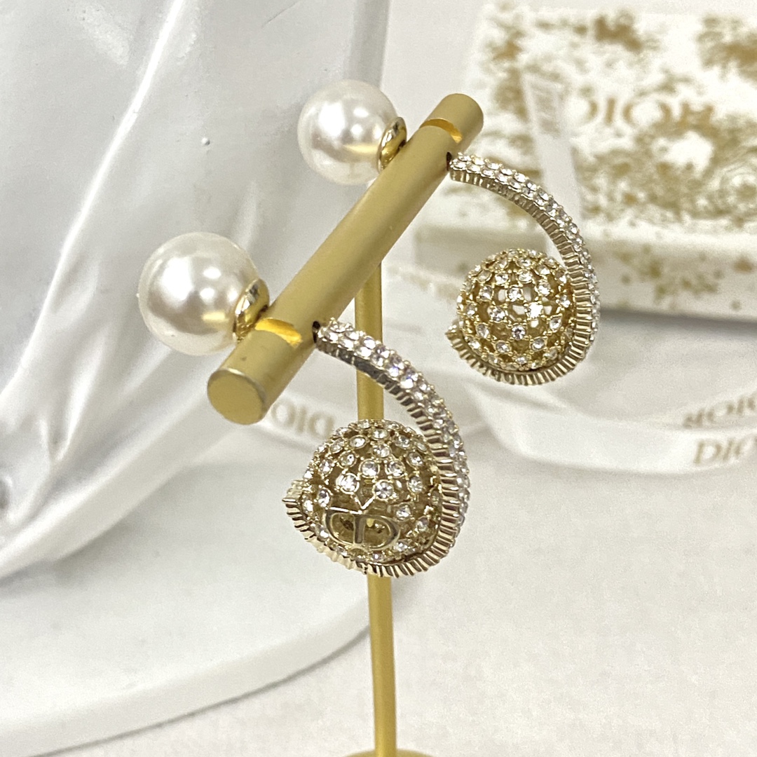 Bagsaaa D10r Earrings 16