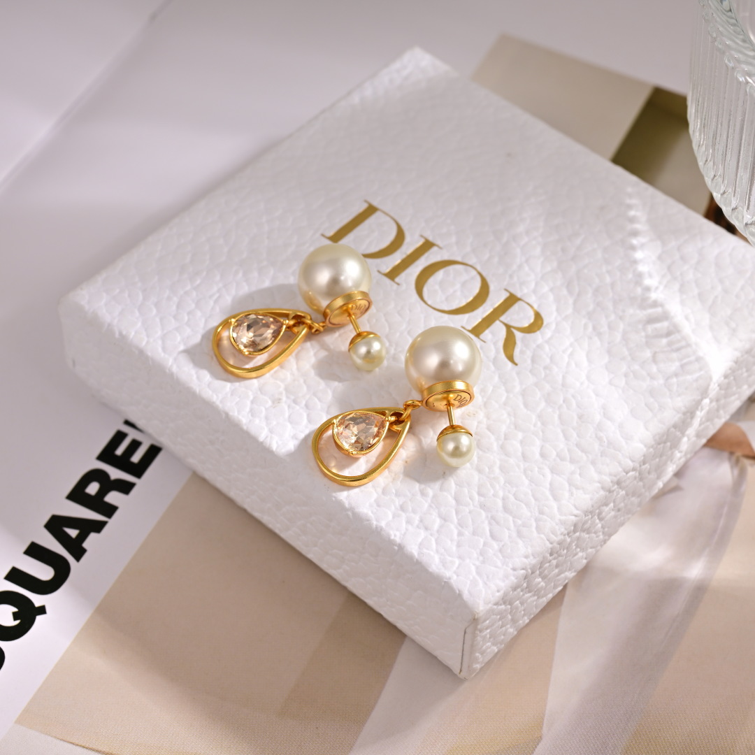 Bagsaaa D10r Earrings 17