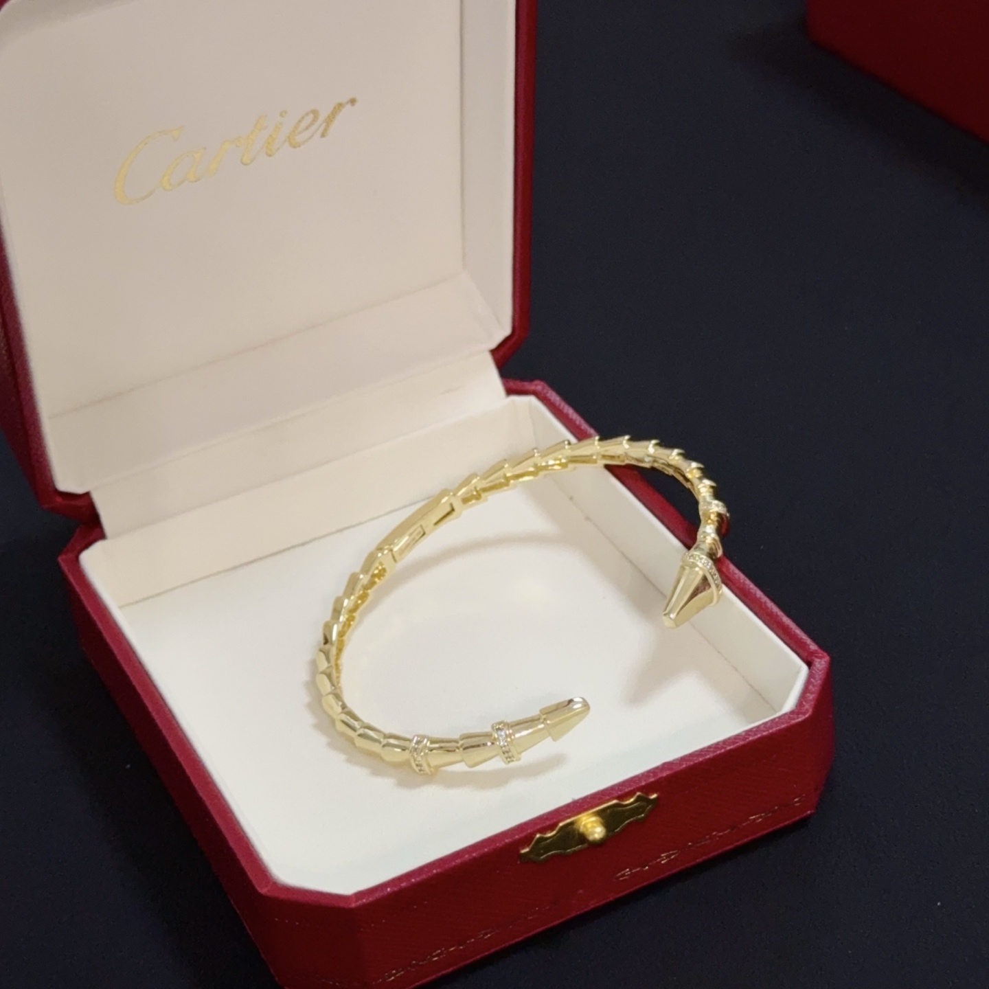 Bagsaaa Ca*t1er Bracelet 04