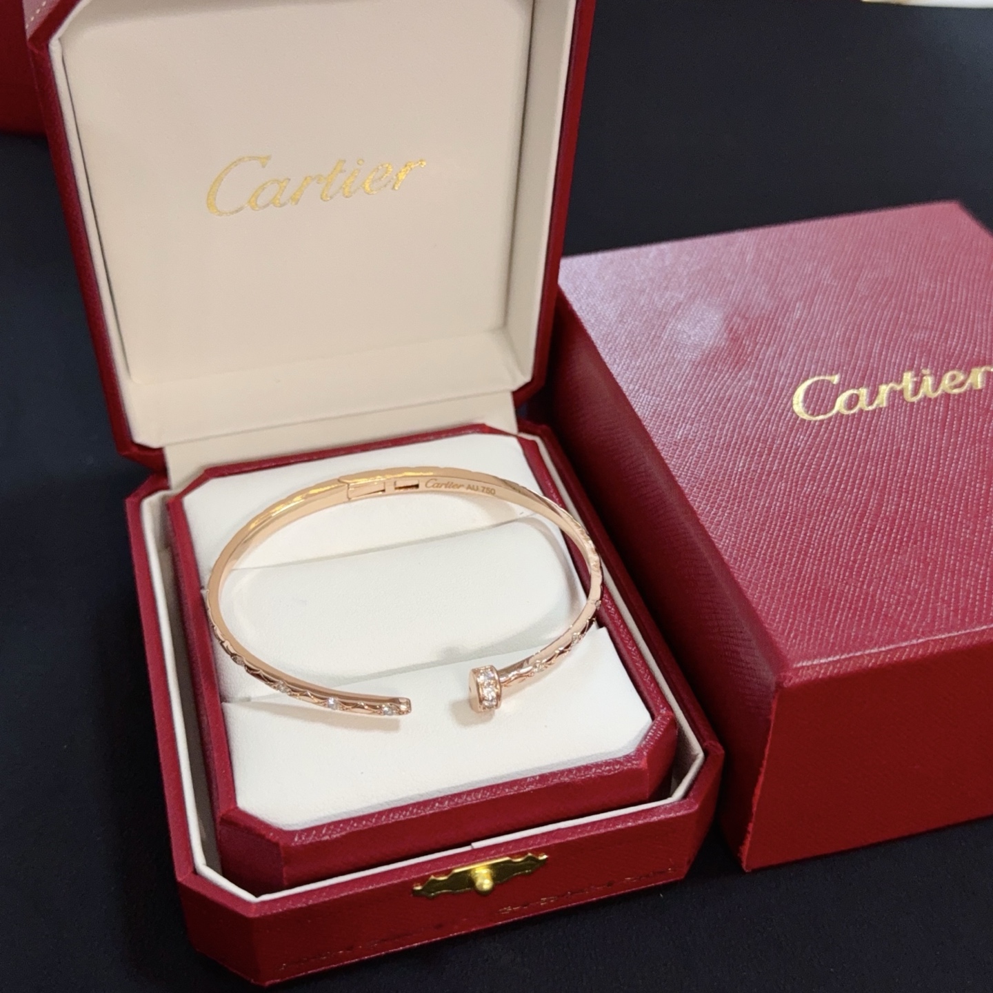 Bagsaaa Ca*t1er Bracelet 09