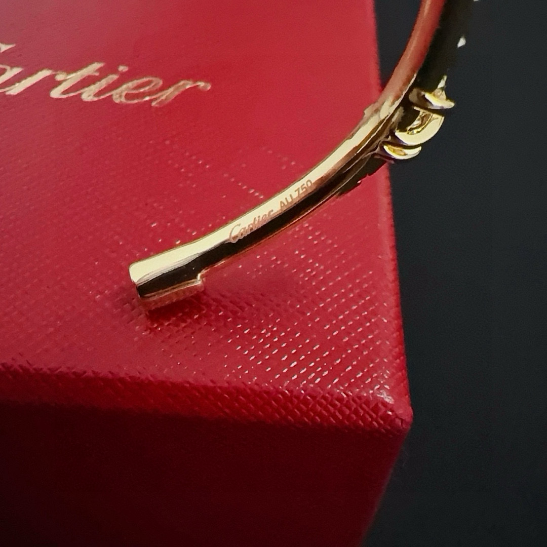 Bagsaaa Ca*t1er Bracelet 10