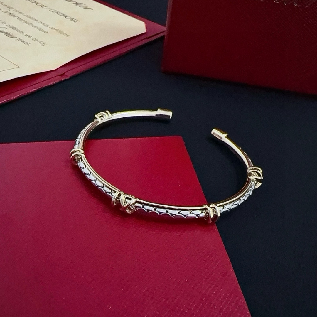 Bagsaaa Ca*t1er Bracelet 10