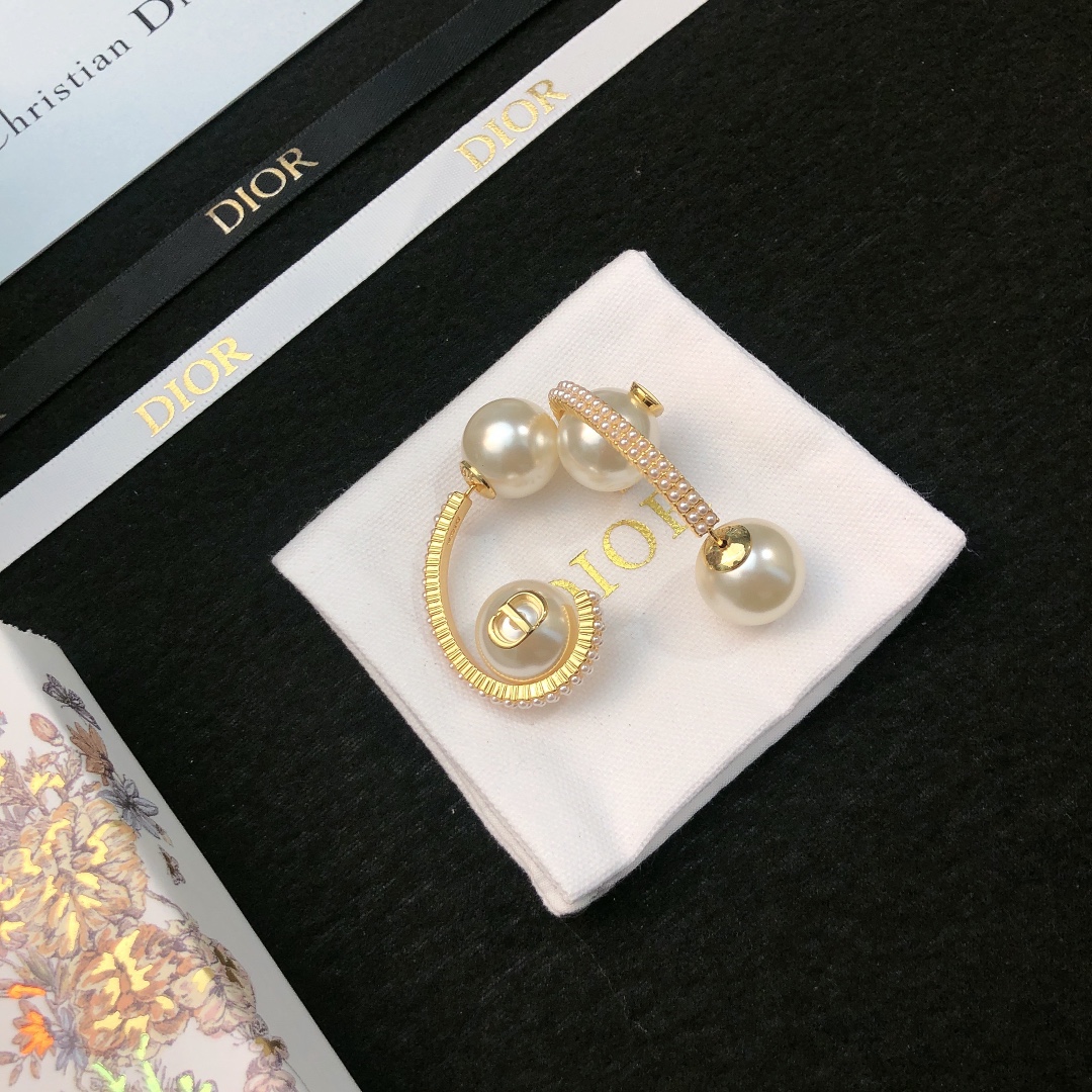 Bagsaaa D10r Earrings 18
