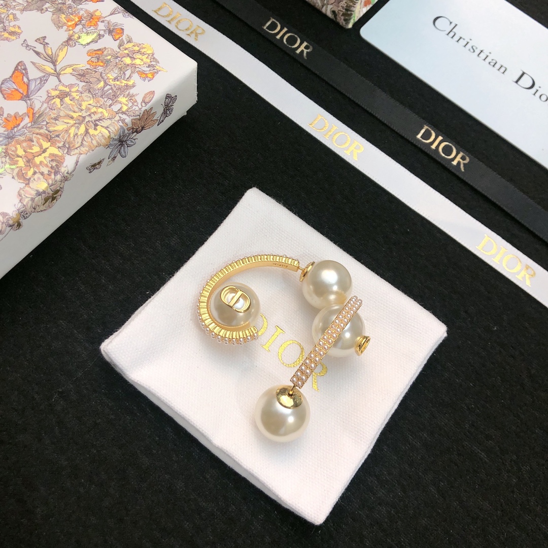 Bagsaaa D10r Earrings 18